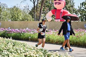 BIB: 
                            <button type="button" onclick="openModal(27798443)" class="btn btn-primary btn-sm float-right btn-popup" data-toggle="modal" data-target=".modal-high-quality">
                        <i class="fas fa-shopping-cart"></i> Add to Cart
                    </button>
                                            <button type="button" onclick="isThisMe(27798443, true)" class="btn btn-success btn-sm float-right btn-popup btn-isme hidden" data-toggle="tooltip" data-placement="bottom" title="นี่คือรูปของคุณใช่ไหม คลิกที่นี่เพื่อเอาเข้าอัลบั้ม">
                        <i class="fas fa-plus"></i> Add to album
                    </button>
                    <button type="button" onclick="isThisMe(27798443, false)" class="btn btn-warning btn-sm float-right btn-popup btn-isnotme hidden">
                        <i class="fas fa-ban"></i> Remove from album
                    </button>